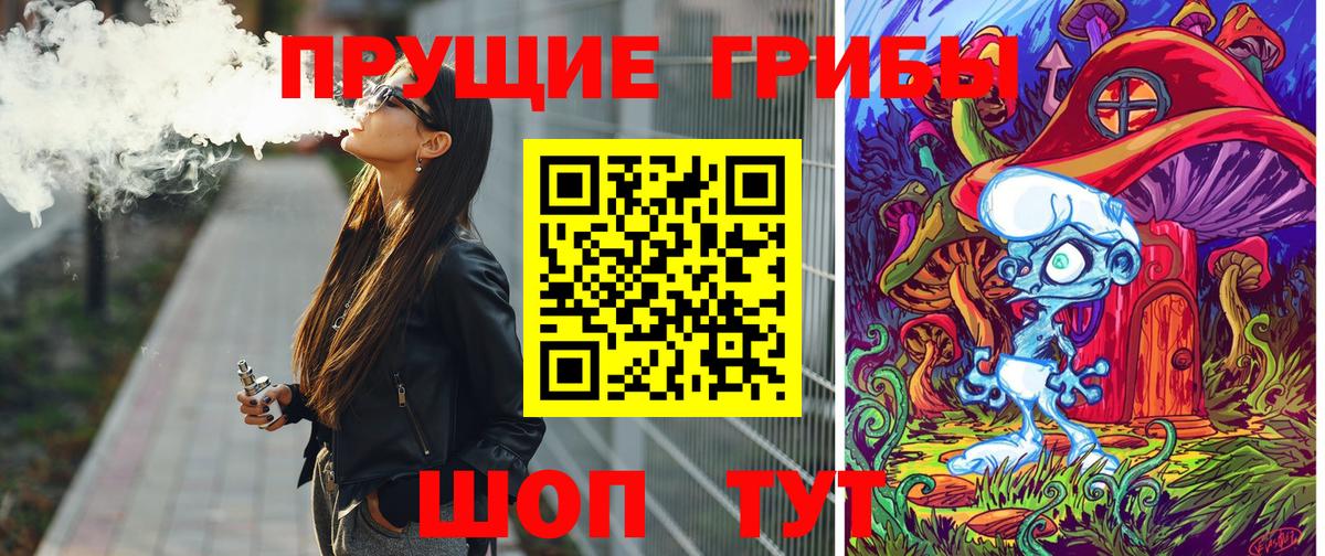 Псилоцибиновые грибы Psilocybine cubensis Каменск-Уральский