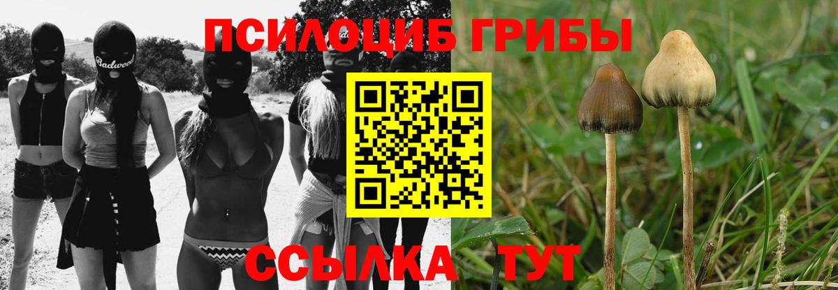 где найти   Вход с VPN  Каменск-Уральский  Псилоцибиновые грибы прущие грибы 
